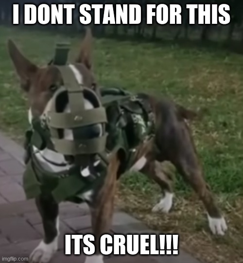 i hate this | I DONT STAND FOR THIS; ITS CRUEL!!! | image tagged in dog,abuse | made w/ Imgflip meme maker