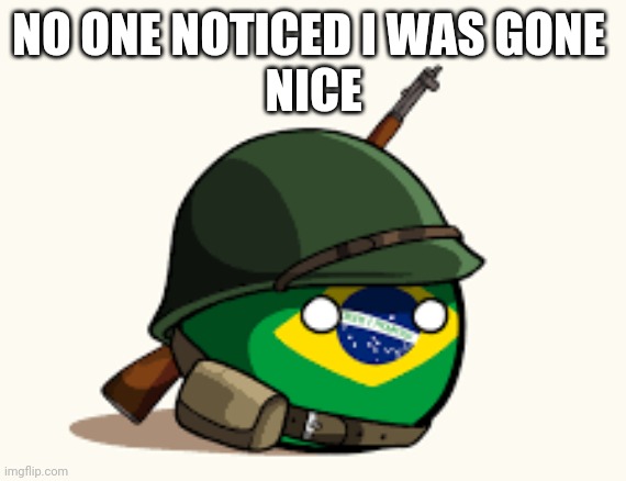 Brazil | NO ONE NOTICED I WAS GONE 
NICE | image tagged in brazil | made w/ Imgflip meme maker