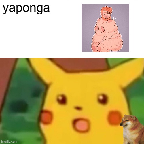 pugo | yaponga | image tagged in memes,surprised pikachu,funny,meme,funny meme,hugo | made w/ Imgflip meme maker