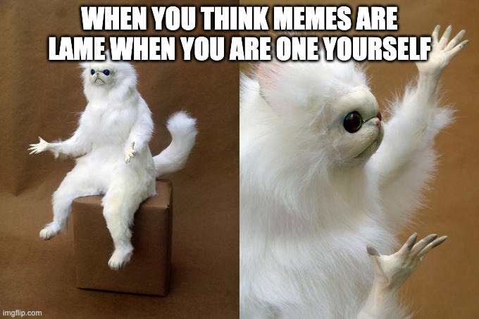 simply ironic, simply hilarious |  WHEN YOU THINK MEMES ARE LAME WHEN YOU ARE ONE YOURSELF | image tagged in memes,persian cat room guardian | made w/ Imgflip meme maker