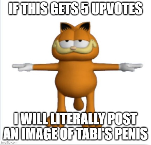 garfield t-pose | IF THIS GETS 5 UPVOTES; I WILL LITERALLY POST AN IMAGE OF TABI'S PENIS | image tagged in garfield t-pose | made w/ Imgflip meme maker