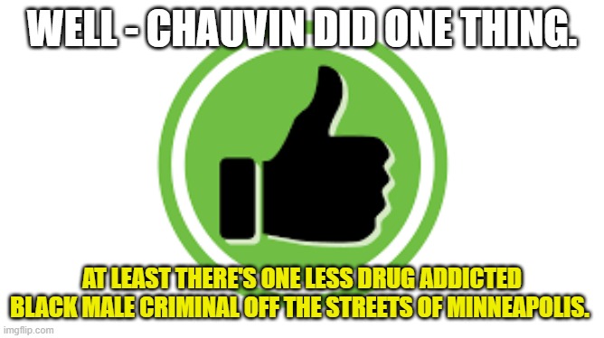 WELL - CHAUVIN DID ONE THING. AT LEAST THERE'S ONE LESS DRUG ADDICTED BLACK MALE CRIMINAL OFF THE STREETS OF MINNEAPOLIS. | made w/ Imgflip meme maker