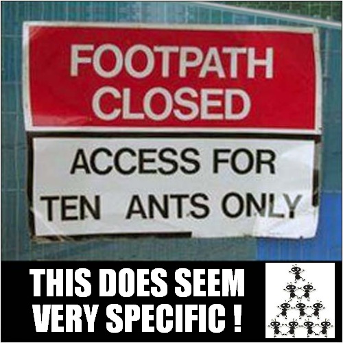 Why Just Ten ? | THIS DOES SEEM
VERY SPECIFIC ! | image tagged in funny signs,ants | made w/ Imgflip meme maker