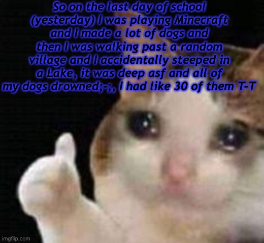 ; - ; . | So on the last day of school (yesterday) I was playing Minecraft and I made a lot of dogs and then I was walking past a random village and I accidentally steeped in a Lake, it was deep asf and all of my dogs drowned;-;, I had like 30 of them T-T | image tagged in approved crying cat | made w/ Imgflip meme maker
