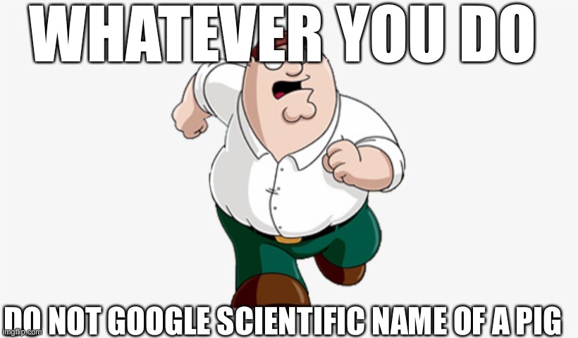 DONT DO IT BROTHA | WHATEVER YOU DO; DO NOT GOOGLE SCIENTIFIC NAME OF A PIG | image tagged in sus,pig | made w/ Imgflip meme maker