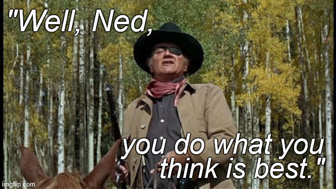 The quintessential expression of Libertarian philosophy. | "Well, Ned, you do what you 
 think is best." | image tagged in rooster's true grit,john wayne,true grit,libertarian,too liberal for progressives | made w/ Imgflip meme maker