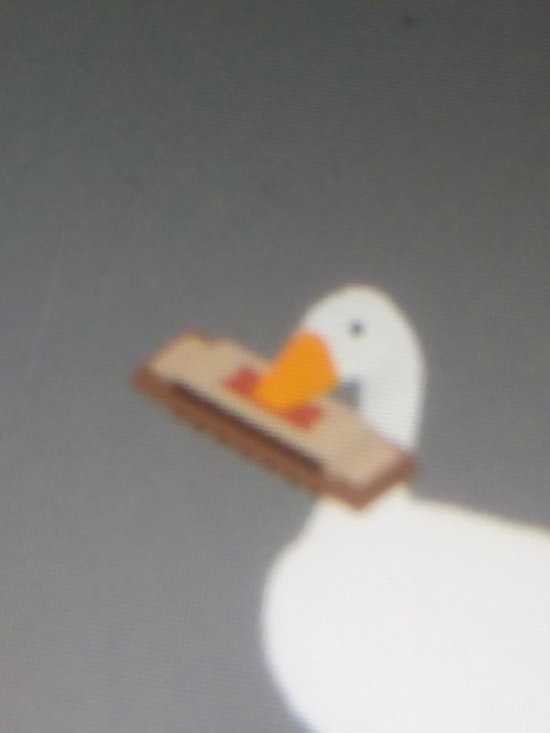 harmonica goose | image tagged in harmonica goose | made w/ Imgflip meme maker