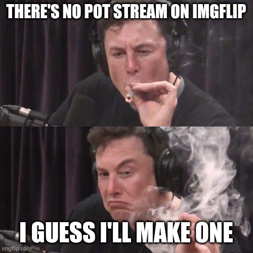 Ganja Ganja | THERE'S NO POT STREAM ON IMGFLIP; I GUESS I'LL MAKE ONE | image tagged in elon musk weed,420,weed,smoke weed everyday | made w/ Imgflip meme maker
