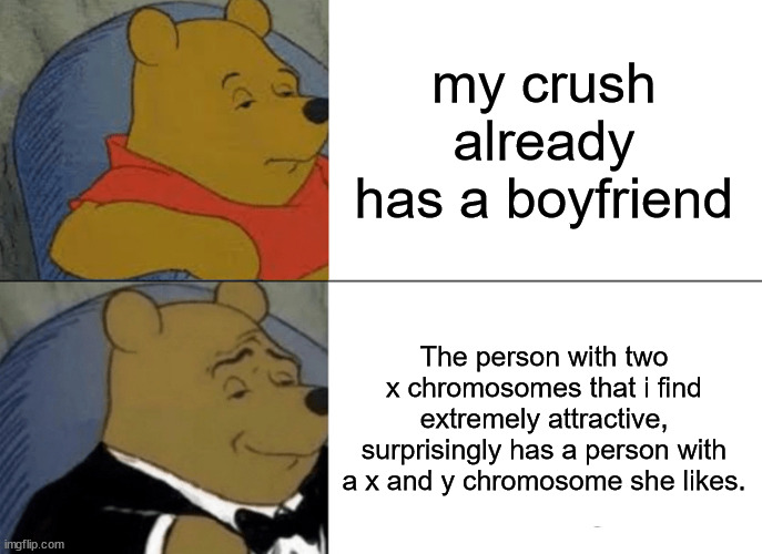Tuxedo Winnie The Pooh Meme | my crush already has a boyfriend; The person with two x chromosomes that i find extremely attractive, surprisingly has a person with a x and y chromosome she likes. | image tagged in memes,tuxedo winnie the pooh,when your crush,boyfriend,stop reading the tags,fancy winnie the pooh meme | made w/ Imgflip meme maker