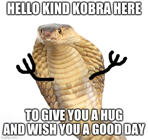 Kind Kobra wishing you a good day | HELLO KIND KOBRA HERE; TO GIVE YOU A HUG AND WISH YOU A GOOD DAY | image tagged in i just want friends who love cats drink copious amounts of wine | made w/ Imgflip meme maker