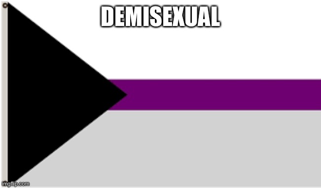 DEMISEXUALS | DEMISEXUAL | image tagged in demisexual flag,demi,demisexual | made w/ Imgflip meme maker