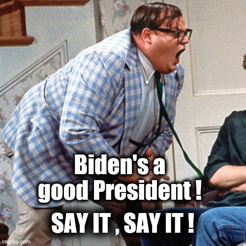 Are you a Democrat or just a Troll | Biden's a good President ! SAY IT , SAY IT ! | image tagged in chris farley for the love of god,praise,heil biden,you were the chosen one star wars | made w/ Imgflip meme maker