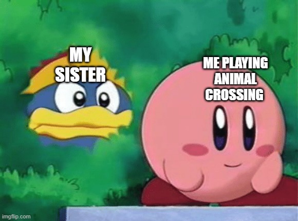 am i the only one with a sibling that does this | MY SISTER; ME PLAYING ANIMAL CROSSING | made w/ Imgflip meme maker