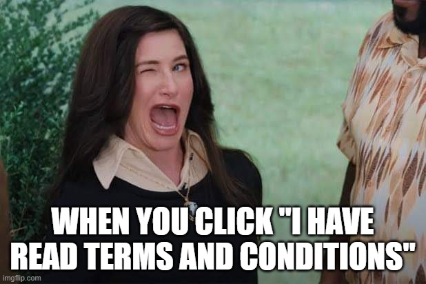 WandaVision Agnes wink | WHEN YOU CLICK "I HAVE READ TERMS AND CONDITIONS" | image tagged in wandavision agnes wink | made w/ Imgflip meme maker