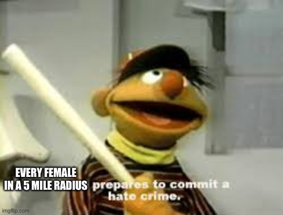 Ernie Prepares to commit a hate crime | EVERY FEMALE IN A 5 MILE RADIUS | image tagged in ernie prepares to commit a hate crime | made w/ Imgflip meme maker