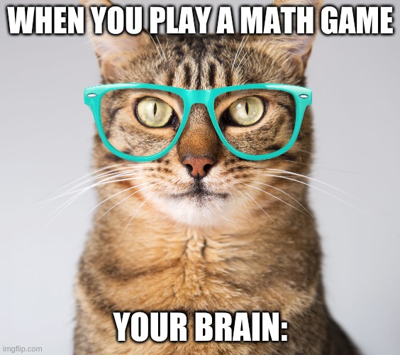 CATS | WHEN YOU PLAY A MATH GAME; YOUR BRAIN: | image tagged in cats | made w/ Imgflip meme maker
