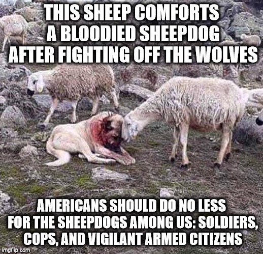Our culture protects the wrong people & wonders why crime is rampant | image tagged in sheepdog,sheep,cops,military,police | made w/ Imgflip meme maker