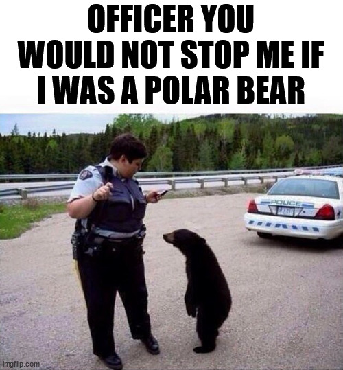 OFFICER YOU WOULD NOT STOP ME IF I WAS A POLAR BEAR | image tagged in conservatives | made w/ Imgflip meme maker