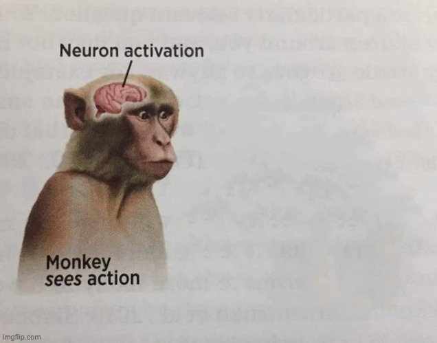 Monkey neuron activation | image tagged in monkey neuron activation | made w/ Imgflip meme maker