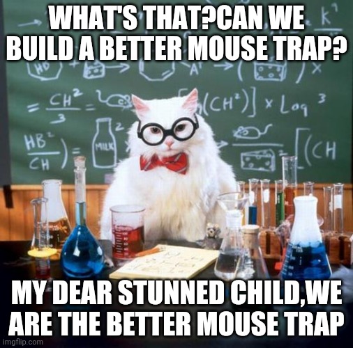 Chemistry Cat Meme | WHAT'S THAT?CAN WE BUILD A BETTER MOUSE TRAP? MY DEAR STUNNED CHILD,WE ARE THE BETTER MOUSE TRAP | image tagged in memes,chemistry cat | made w/ Imgflip meme maker