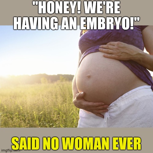 Pregnant Woman | "HONEY! WE'RE HAVING AN EMBRYO!"; SAID NO WOMAN EVER | image tagged in pregnant woman | made w/ Imgflip meme maker