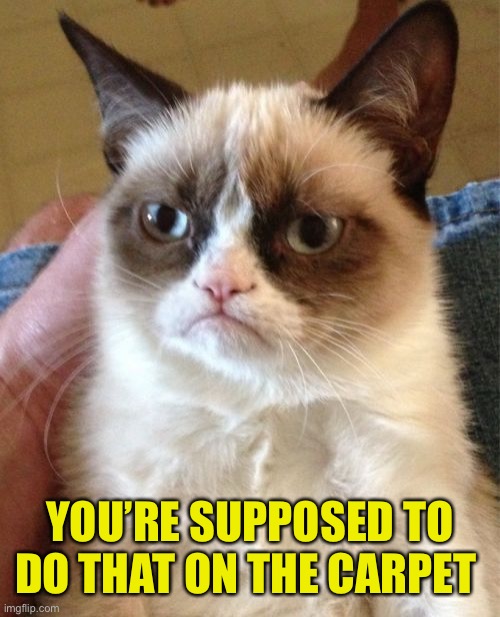 Grumpy Cat Meme | YOU’RE SUPPOSED TO DO THAT ON THE CARPET | image tagged in memes,grumpy cat | made w/ Imgflip meme maker