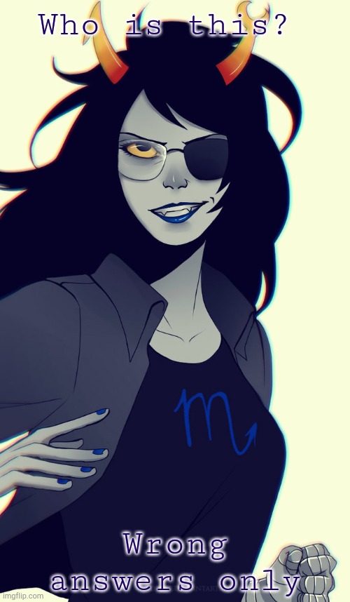 Who is this? Wrong answers only | image tagged in homestuck,who is this,wrong answers | made w/ Imgflip meme maker