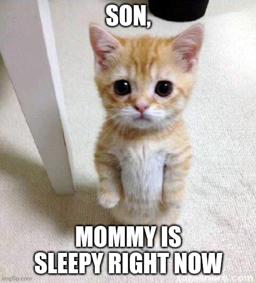 Cute Cat Meme | SON, MOMMY IS SLEEPY RIGHT NOW | image tagged in memes,cute cat | made w/ Imgflip meme maker
