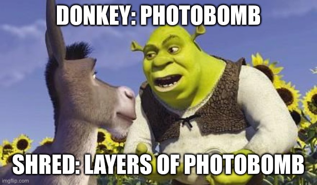 Shrek Layers | DONKEY: PHOTOBOMB SHRED: LAYERS OF PHOTOBOMB | image tagged in shrek layers | made w/ Imgflip meme maker