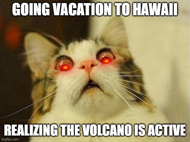 cat | GOING VACATION TO HAWAII; REALIZING THE VOLCANO IS ACTIVE | image tagged in memes,scared cat | made w/ Imgflip meme maker