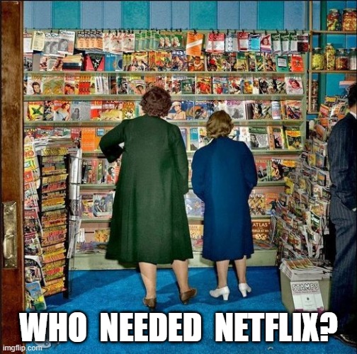 Who Needed? | WHO  NEEDED  NETFLIX? | image tagged in netflix | made w/ Imgflip meme maker