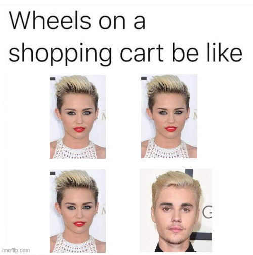 beaches have peaches | image tagged in memes,funny,wheels on a shopping cart be like | made w/ Imgflip meme maker