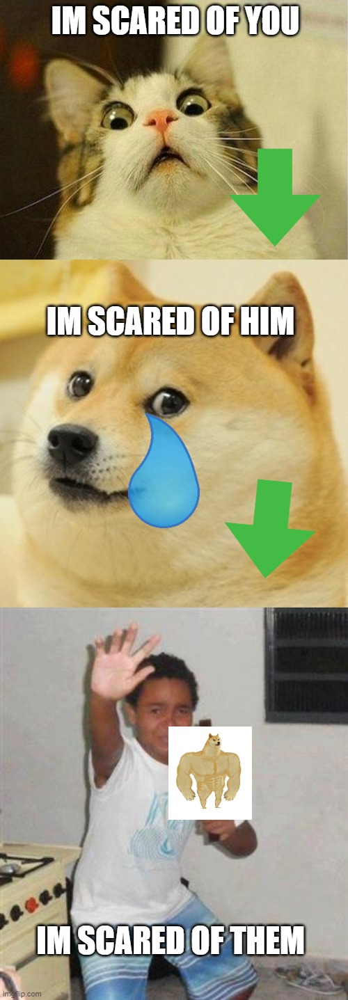 who is scared of whom | IM SCARED OF YOU; IM SCARED OF HIM; IM SCARED OF THEM | image tagged in memes,scared cat,doge,scared kid | made w/ Imgflip meme maker