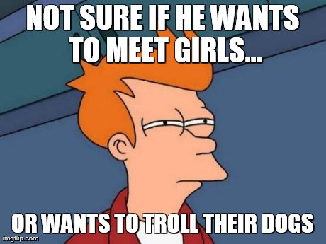 Futurama Fry Meme | NOT SURE IF HE WANTS TO MEET GIRLS... OR WANTS TO TROLL THEIR DOGS | image tagged in memes,futurama fry | made w/ Imgflip meme maker