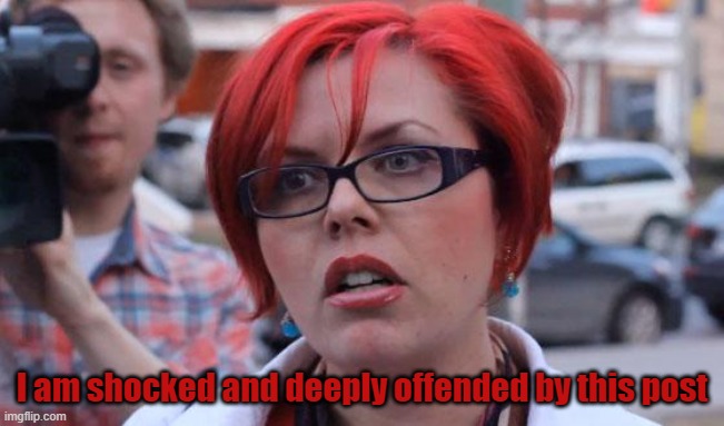 Angry Feminist | I am shocked and deeply offended by this post | image tagged in angry feminist | made w/ Imgflip meme maker