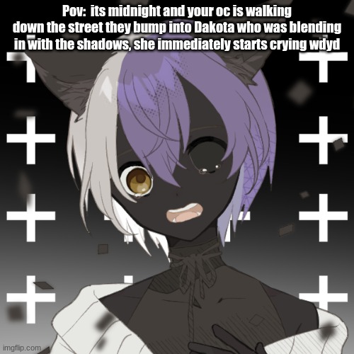 Dakota bean  oc | Pov:  its midnight and your oc is walking down the street they bump into Dakota who was blending in with the shadows, she immediately starts crying wdyd | image tagged in dakota bean oc | made w/ Imgflip meme maker