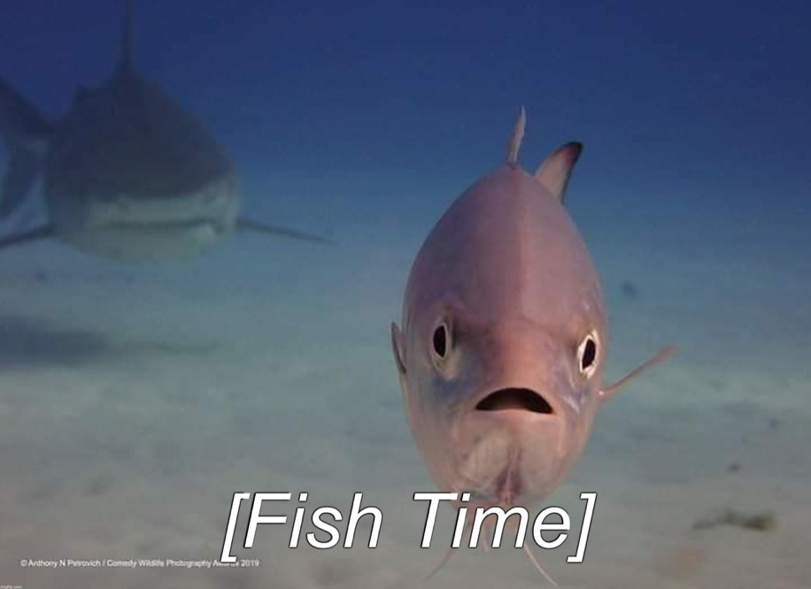 [Fish Time] Blank Meme Template