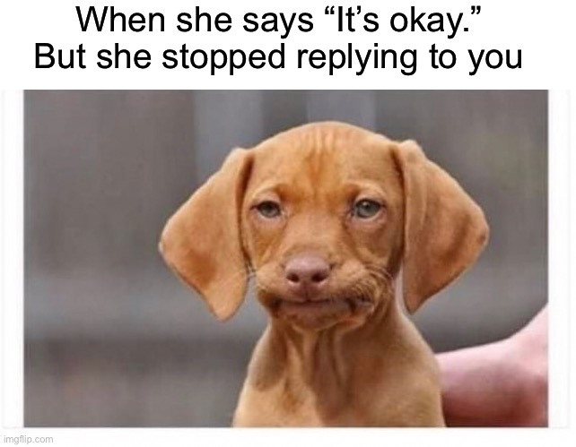 Ah naw | When she says “It’s okay.” 
But she stopped replying to you | image tagged in ah naw,dogs,dammit,memes,new memes,funny memes | made w/ Imgflip meme maker