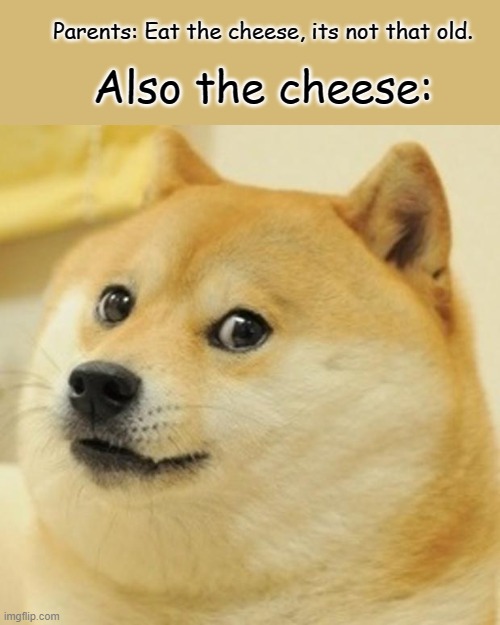 Doge Meme | Parents: Eat the cheese, its not that old. Also the cheese: | image tagged in memes,doge | made w/ Imgflip meme maker