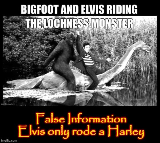 False Information Warning | image tagged in elvis | made w/ Imgflip meme maker