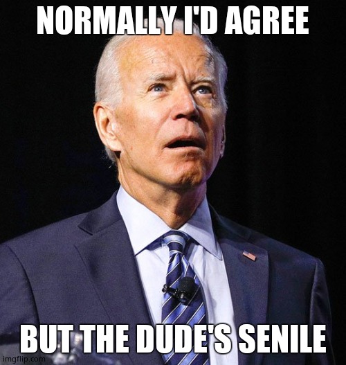 Joe Biden | NORMALLY I'D AGREE BUT THE DUDE'S SENILE | image tagged in joe biden | made w/ Imgflip meme maker