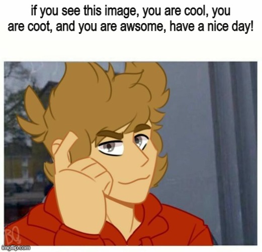 :D | if you see this image, you are cool, you are coot, and you are awesome, have a nice day! | image tagged in tord smart | made w/ Imgflip meme maker