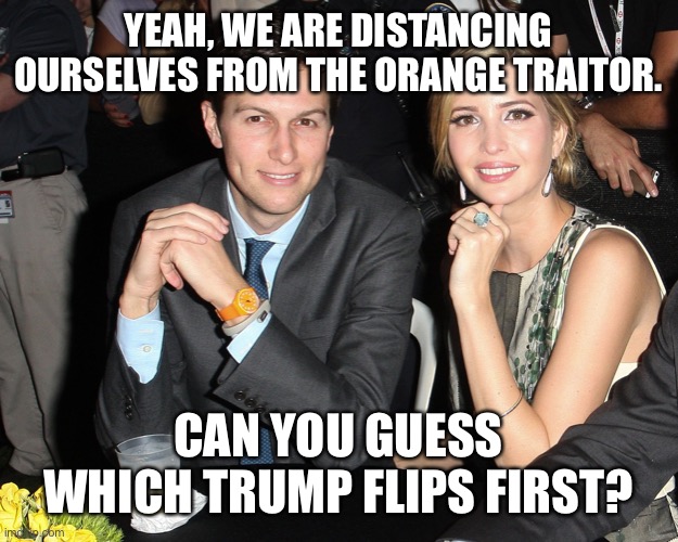 Jared Ivanka | YEAH, WE ARE DISTANCING OURSELVES FROM THE ORANGE TRAITOR. CAN YOU GUESS WHICH TRUMP FLIPS FIRST? | image tagged in jared ivanka | made w/ Imgflip meme maker