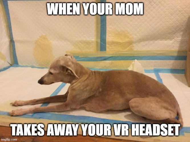 *sad zero caliber noises* | WHEN YOUR MOM; TAKES AWAY YOUR VR HEADSET | image tagged in sad doggo | made w/ Imgflip meme maker
