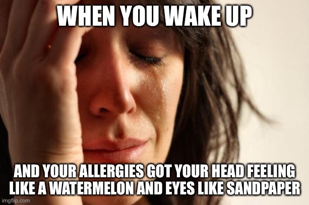 So annoying, but why does part of it feel good? | WHEN YOU WAKE UP; AND YOUR ALLERGIES GOT YOUR HEAD FEELING LIKE A WATERMELON AND EYES LIKE SANDPAPER | image tagged in memes,first world problems,waking up,allergies,melonhead,itchy eyes | made w/ Imgflip meme maker