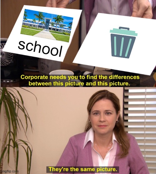 school | school | image tagged in memes,they're the same picture | made w/ Imgflip meme maker