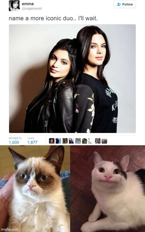 4 tags in by default, nice. | image tagged in name a more iconic duo,memes,grumpy cat,polite cat,barney will eat all of your delectable biscuits,form a counter culture cult | made w/ Imgflip meme maker