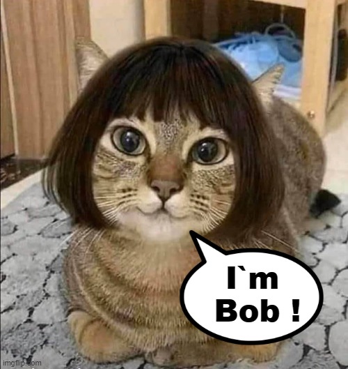 Bob | I`m 
Bob ! | image tagged in funny haircut | made w/ Imgflip meme maker