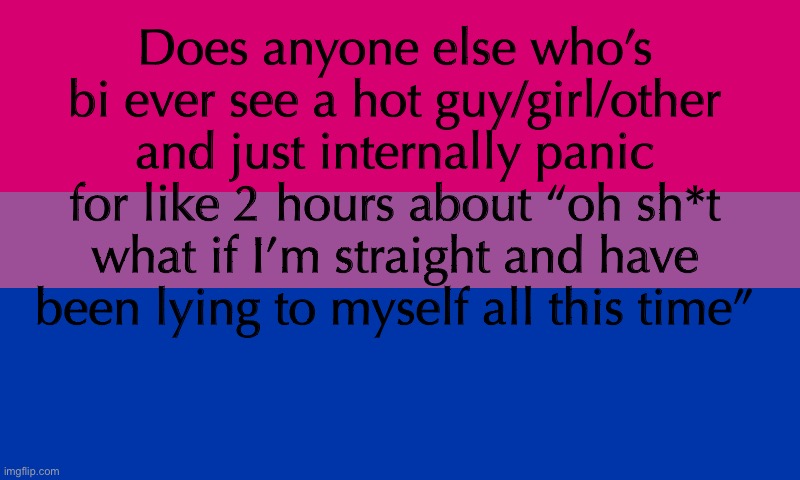 My everyday life lol | Does anyone else who’s bi ever see a hot guy/girl/other and just internally panic for like 2 hours about “oh sh*t what if I’m straight and have been lying to myself all this time” | image tagged in bi flag | made w/ Imgflip meme maker
