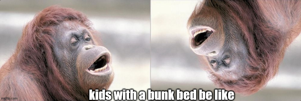kids with a bunk bed be like | image tagged in memes,monkey ooh | made w/ Imgflip meme maker